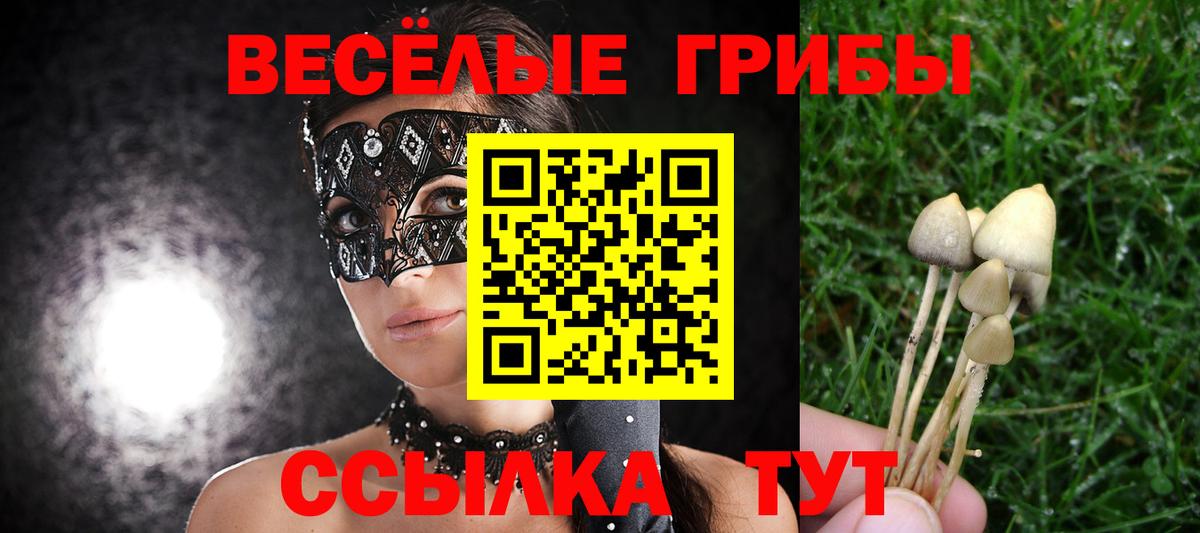 Галлюциногенные грибы GOLDEN TEACHER Дзержинск