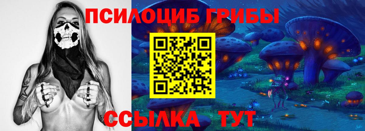 Галлюциногенные грибы GOLDEN TEACHER  Псилоцибиновые грибы ЛСД  Дзержинск  Вход с VPN 